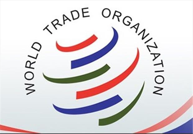 گام‌های لرزان برای پیوستن به WTO